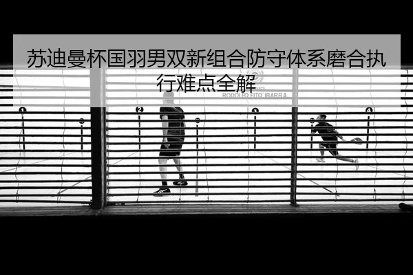 su-di-man-bei-guo-yu-nan-shuang-xin-zu-he-fang-shou-ti-xi-mo-he-zhi-xing-nan-dian-quan-jie-2-271.jpg